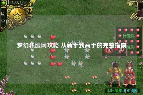 梦幻私服网攻略 从新手到高手的完整指南
